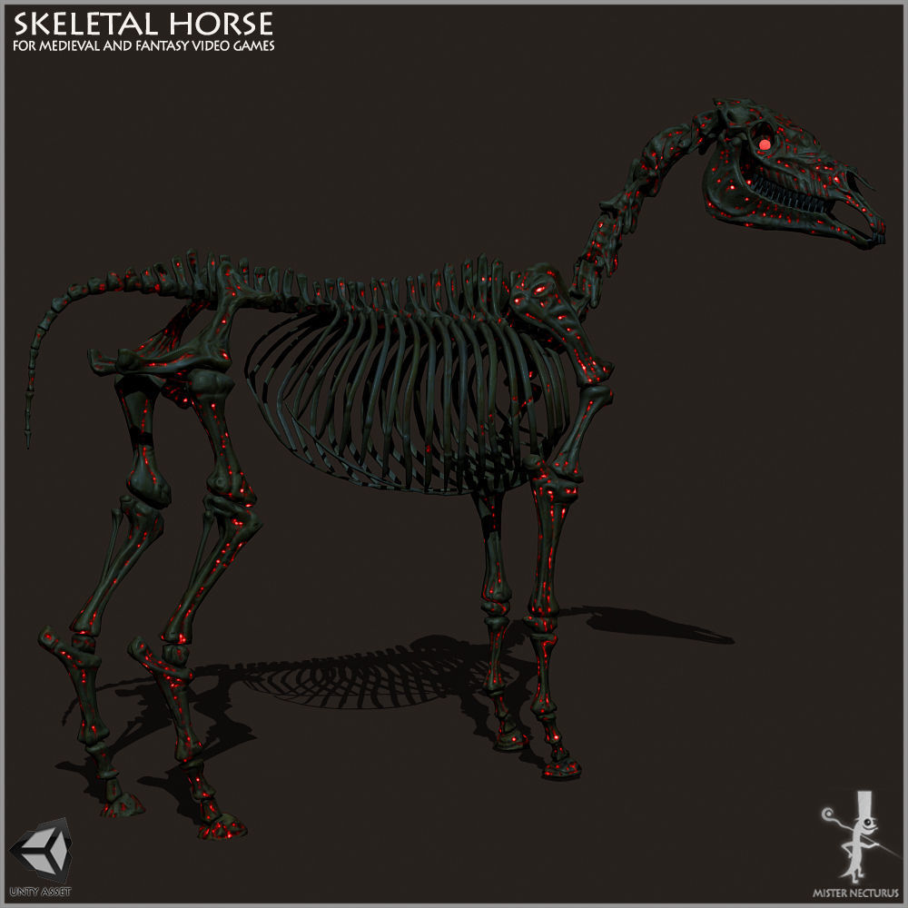 Skeletal Horse Light Version Low-poly 3D model_6