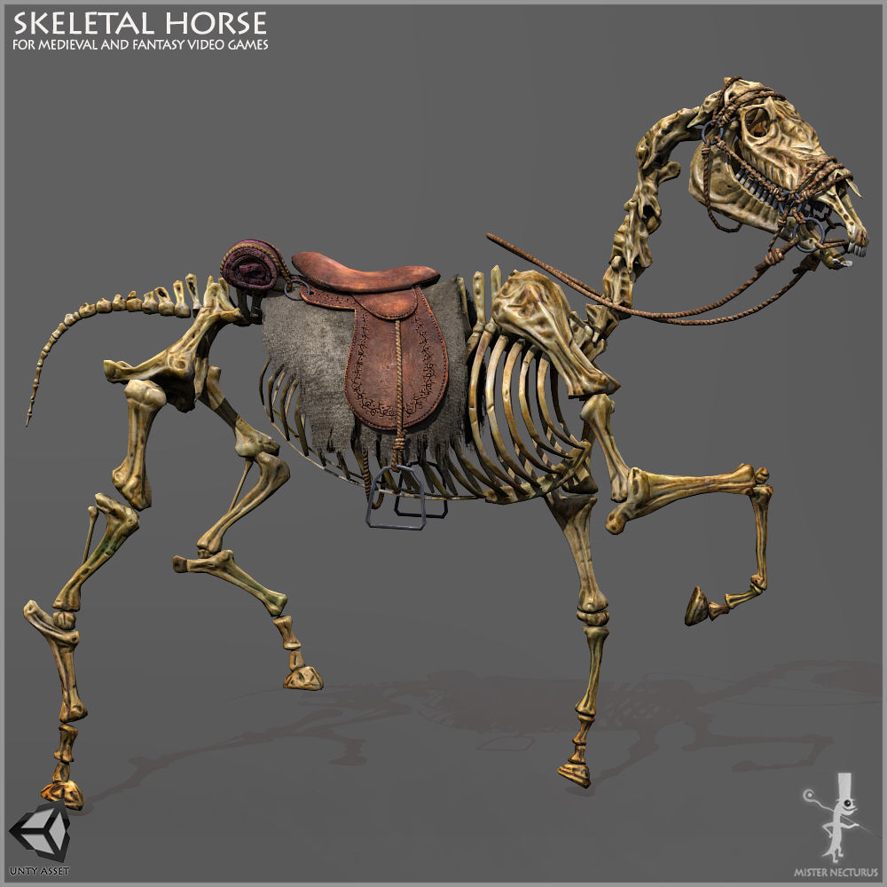 Skeletal Horse Light Version Low-poly 3D model_8