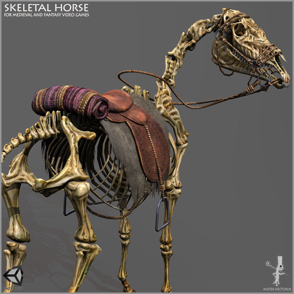 Skeletal Horse Light Version Low-poly 3D model_5
