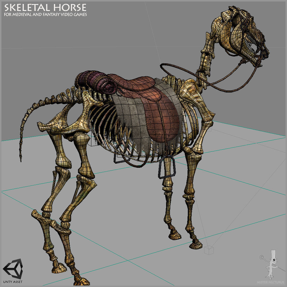Skeletal Horse Light Version Low-poly 3D model_3