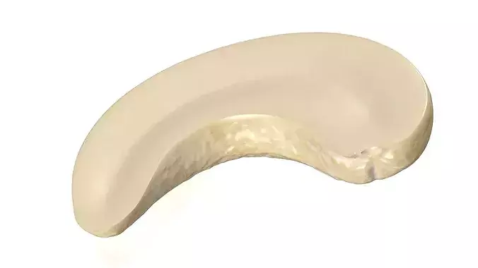 Cashew Kernels Low-poly 3D model 6