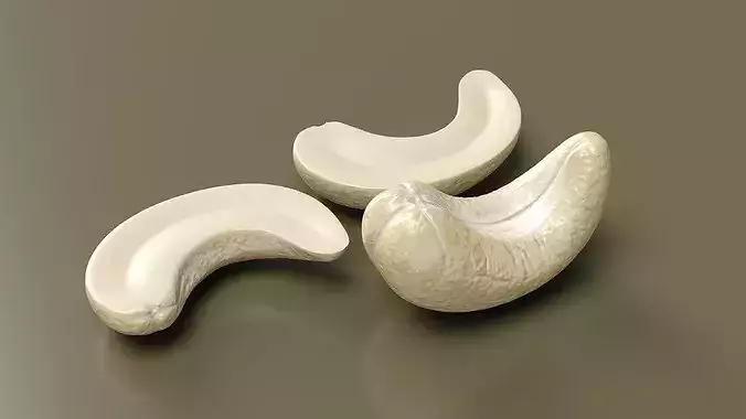 Cashew Kernels Low-poly 3D model 3