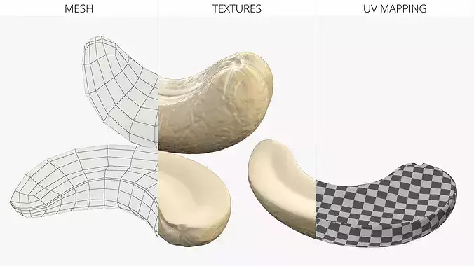 Cashew Kernels Low-poly 3D model 7