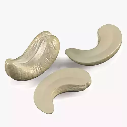 Cashew Kernels Low-poly 3D model 2
