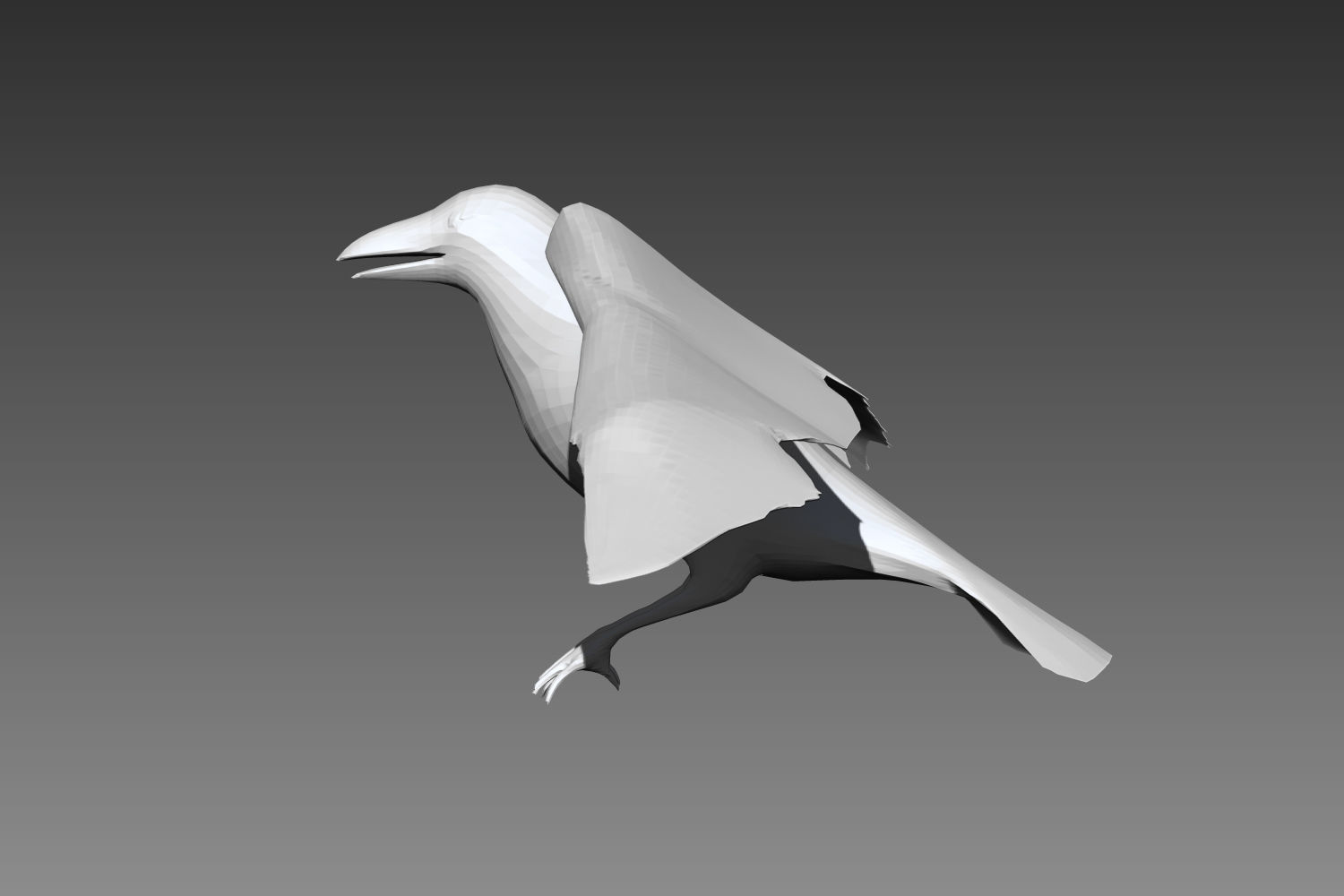 Crow base mesh for Zbrush 3D model_2