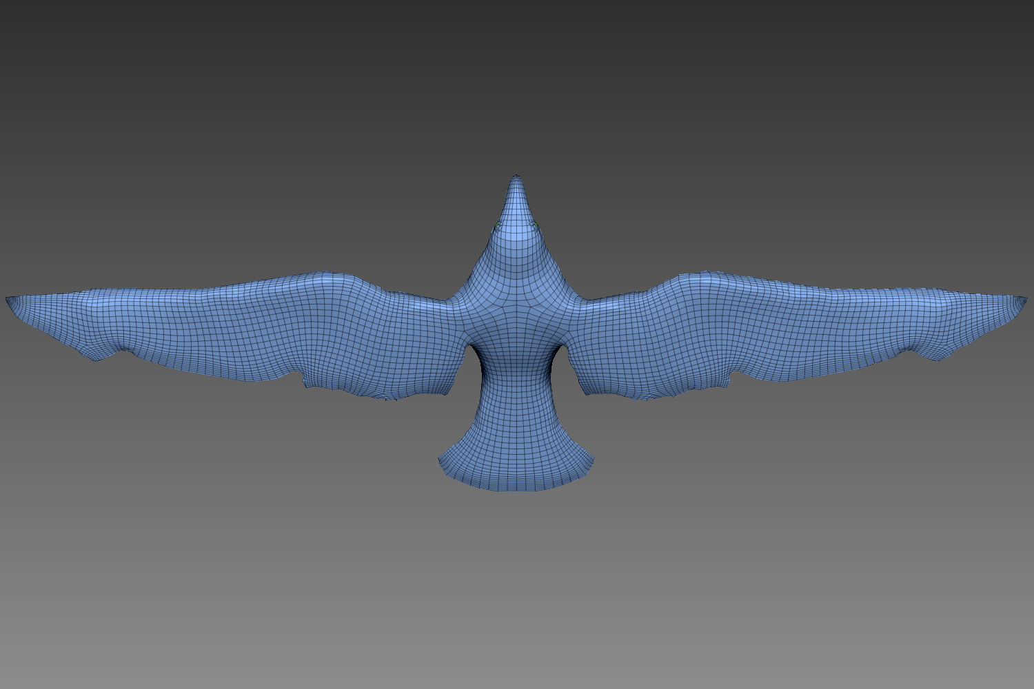 Crow base mesh for Zbrush 3D model_5