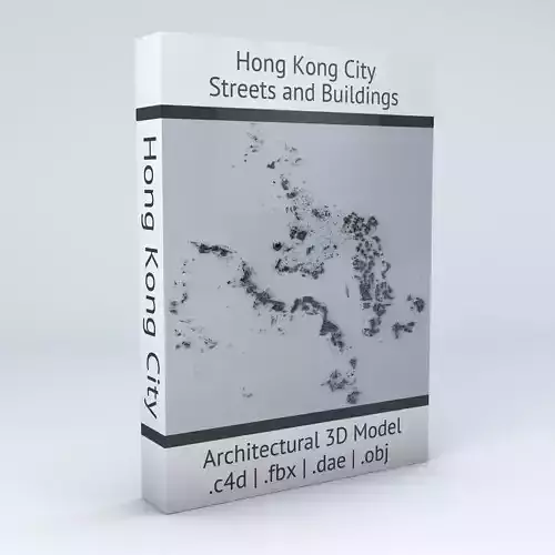 Hong Kong City Streets and Buildings 3D model