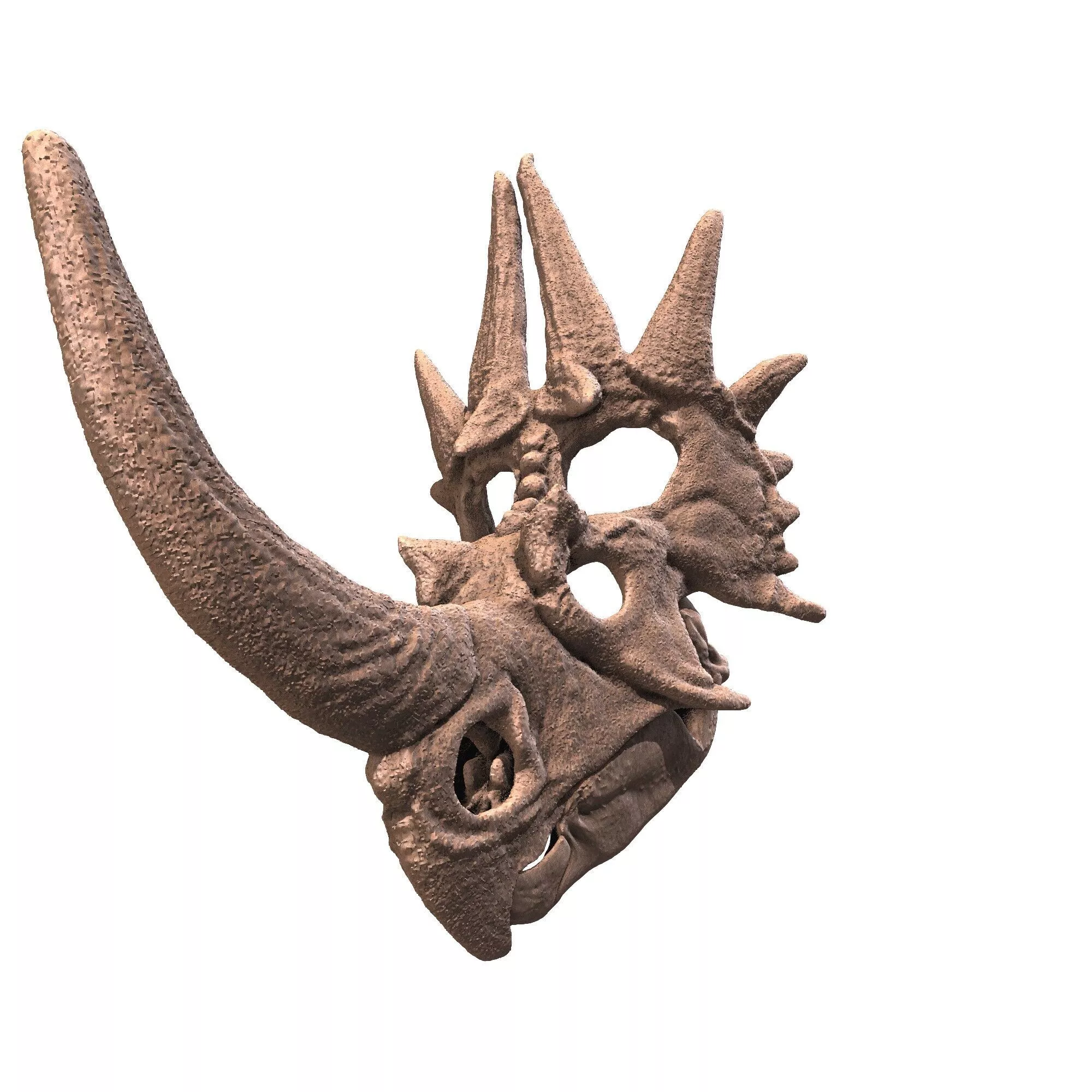 Styracosaurus ovatus crane 3D print model