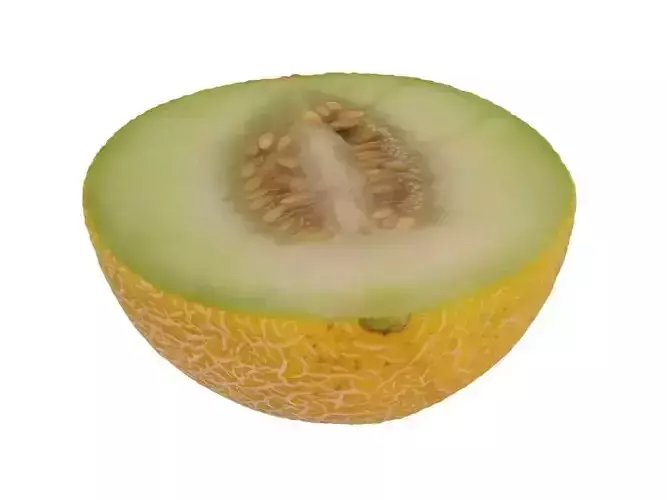 Cantaloupe - low poly melon 3D model