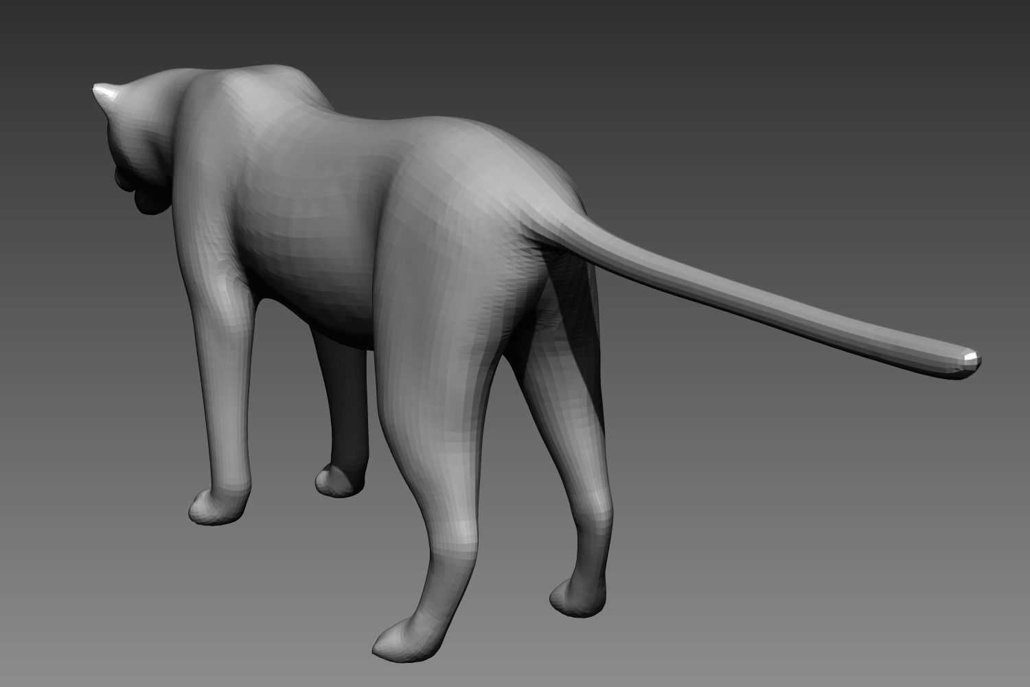 Leopard base mesh for Zbrush 3D model_2