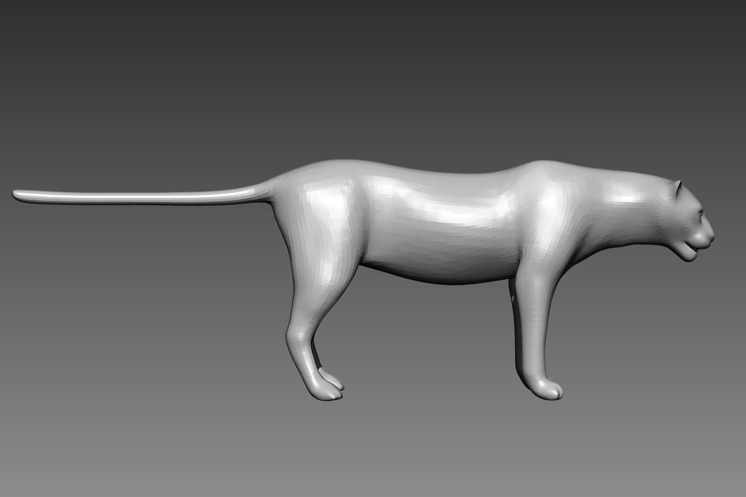 Leopard base mesh for Zbrush 3D model_3