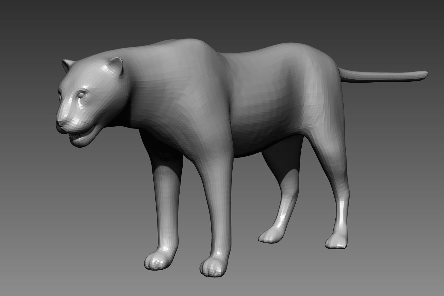 Leopard base mesh for Zbrush 3D model_4