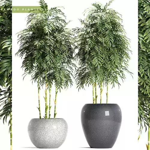 bamboo plant 3D model