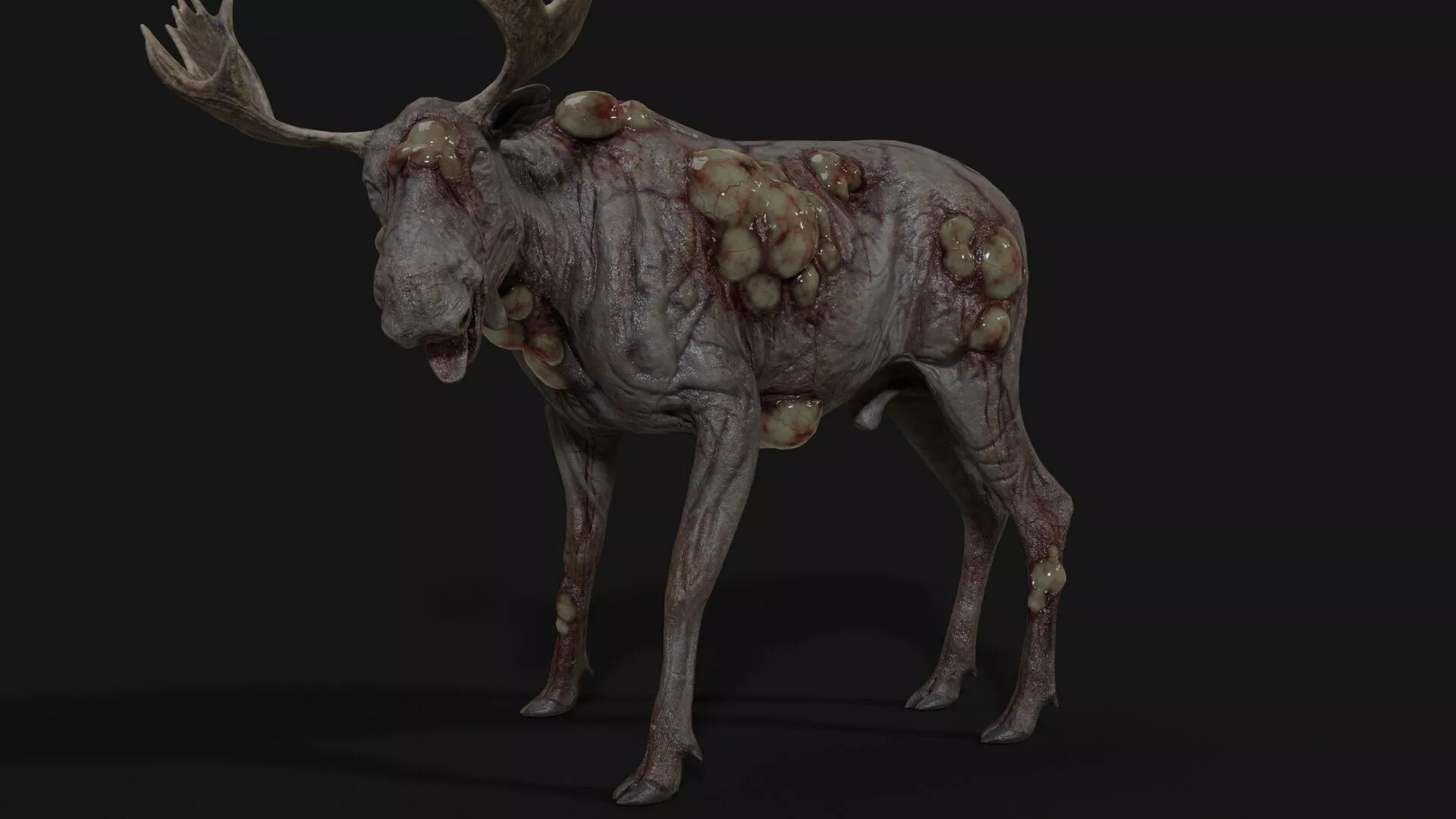 Rot Moose Low-poly 3D model