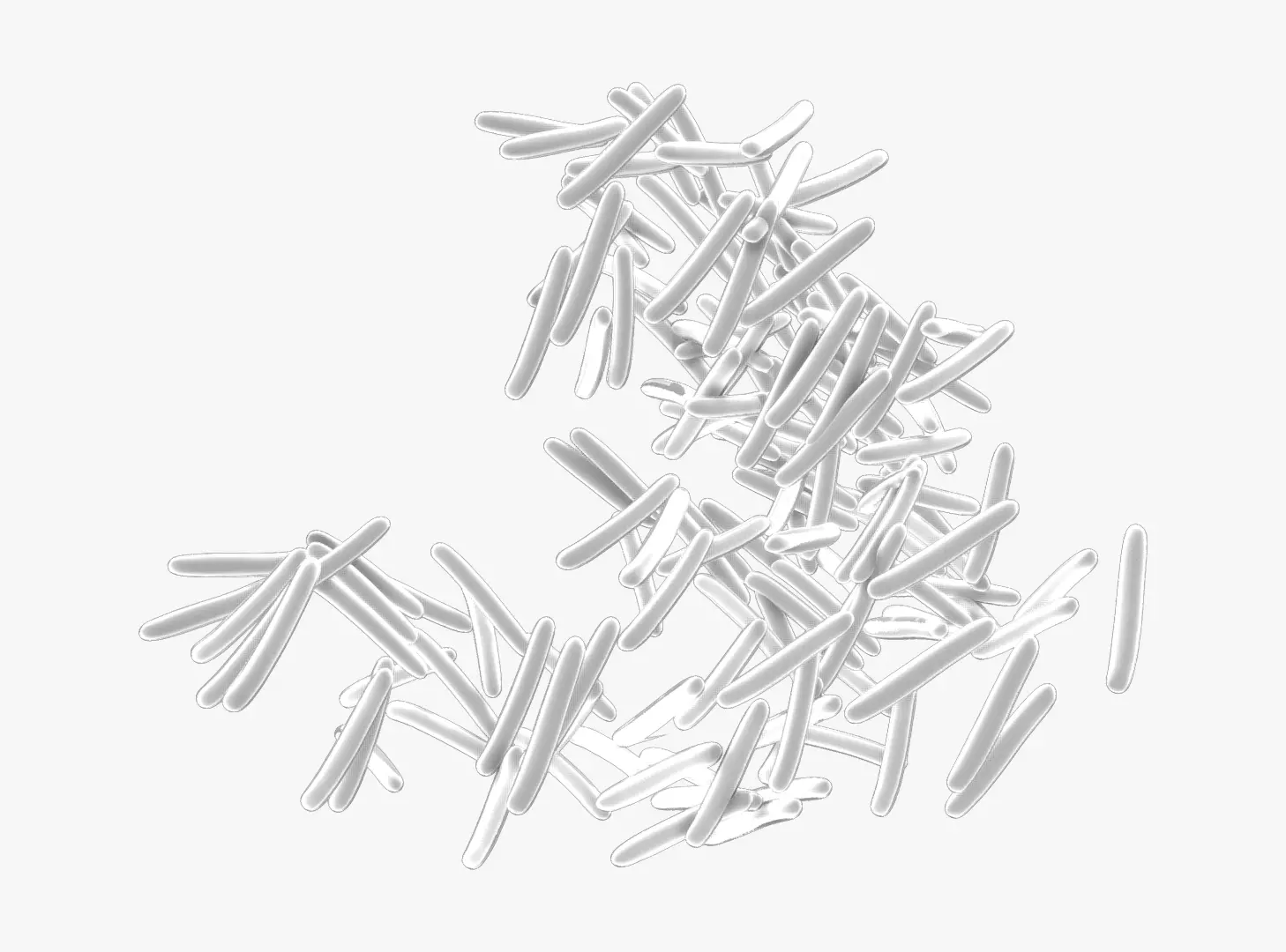 Mycobacterium Tuberculosis Bacteria 3D model