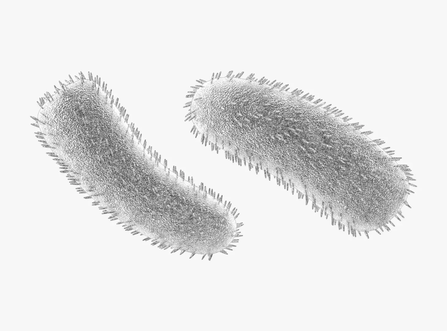 Rabies Virus 3D model