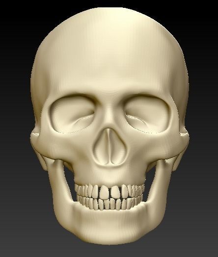 Human skull 3D print model_1