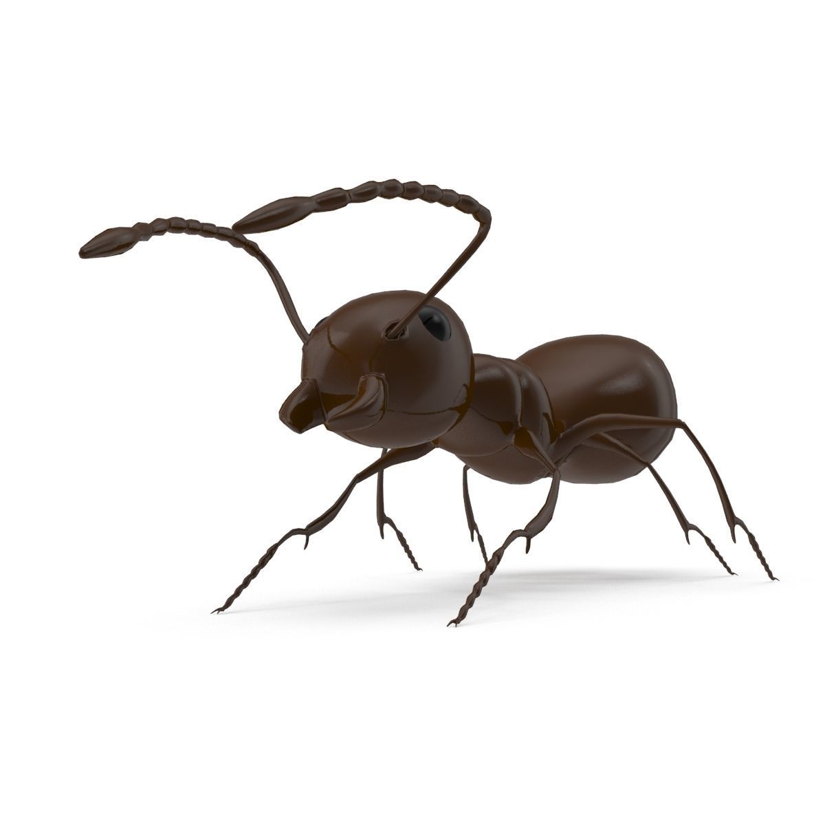 Ant Model chocolate 3D model_2