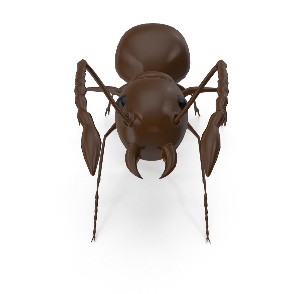 Ant Model chocolate 3D model_3