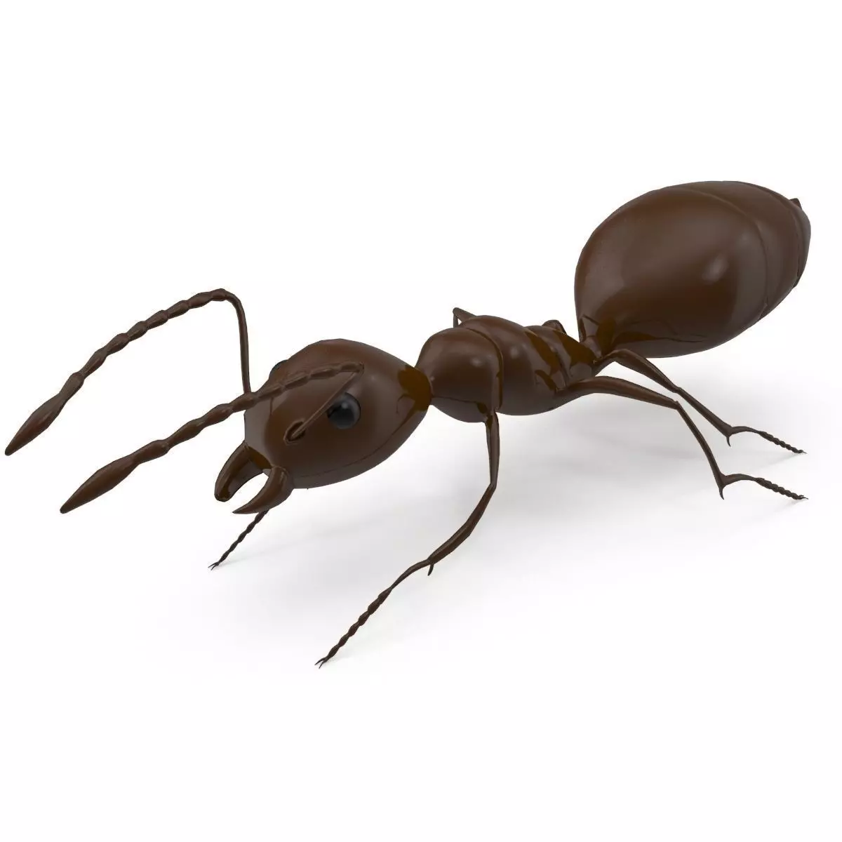 Ant Model chocolate 3D model_0
