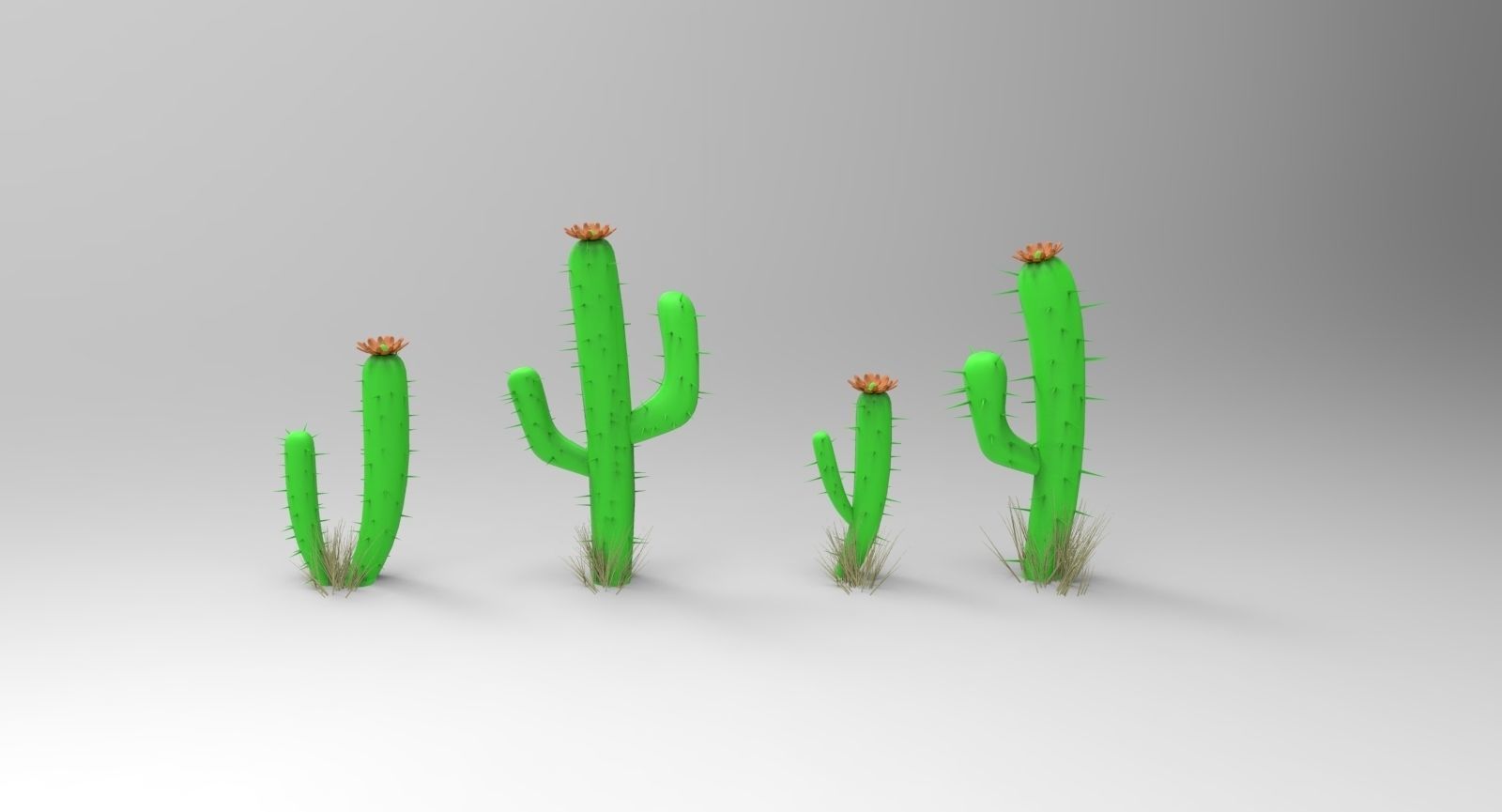 Toon Cactus 3D model_1