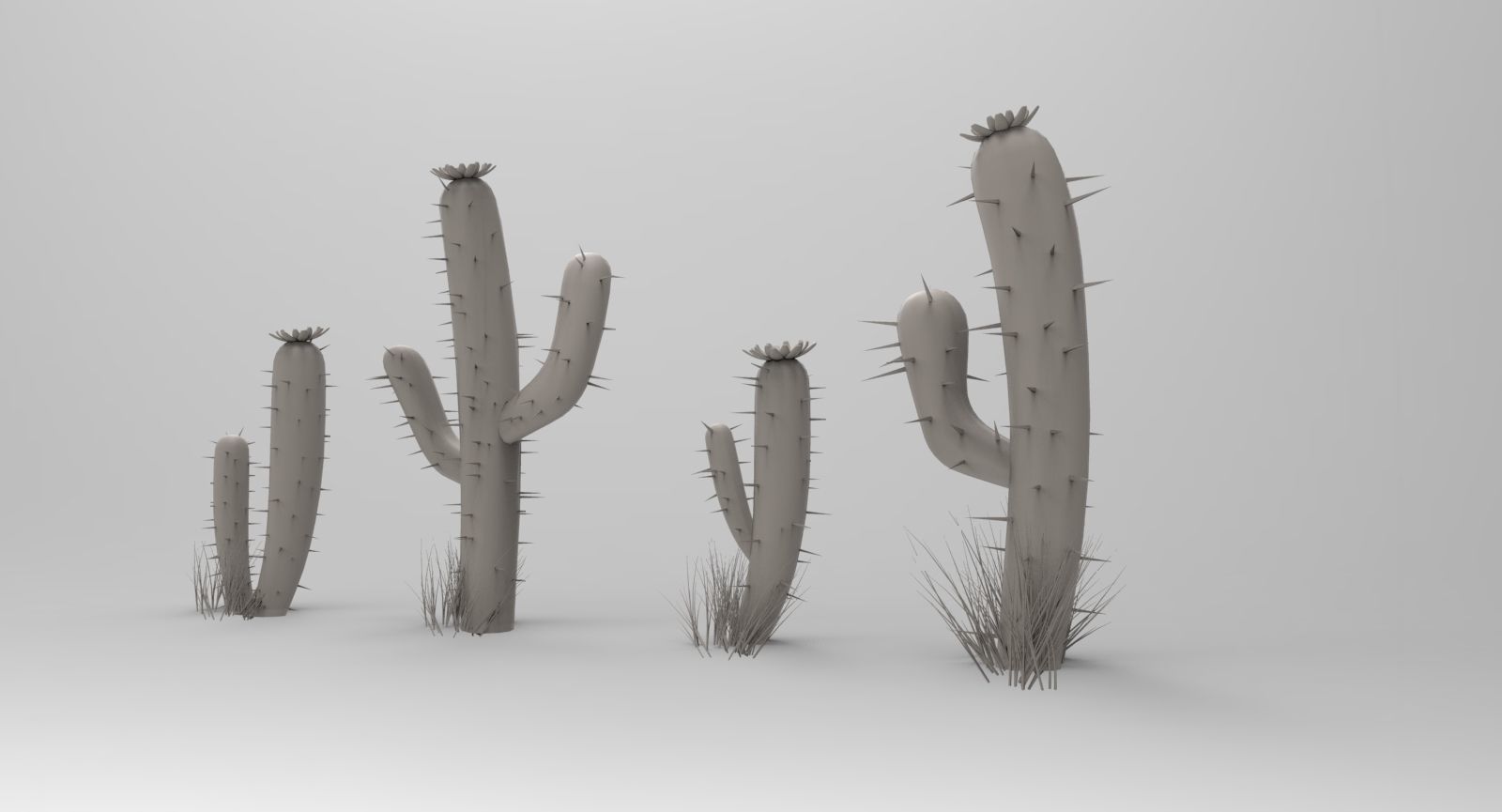 Toon Cactus 3D model_2