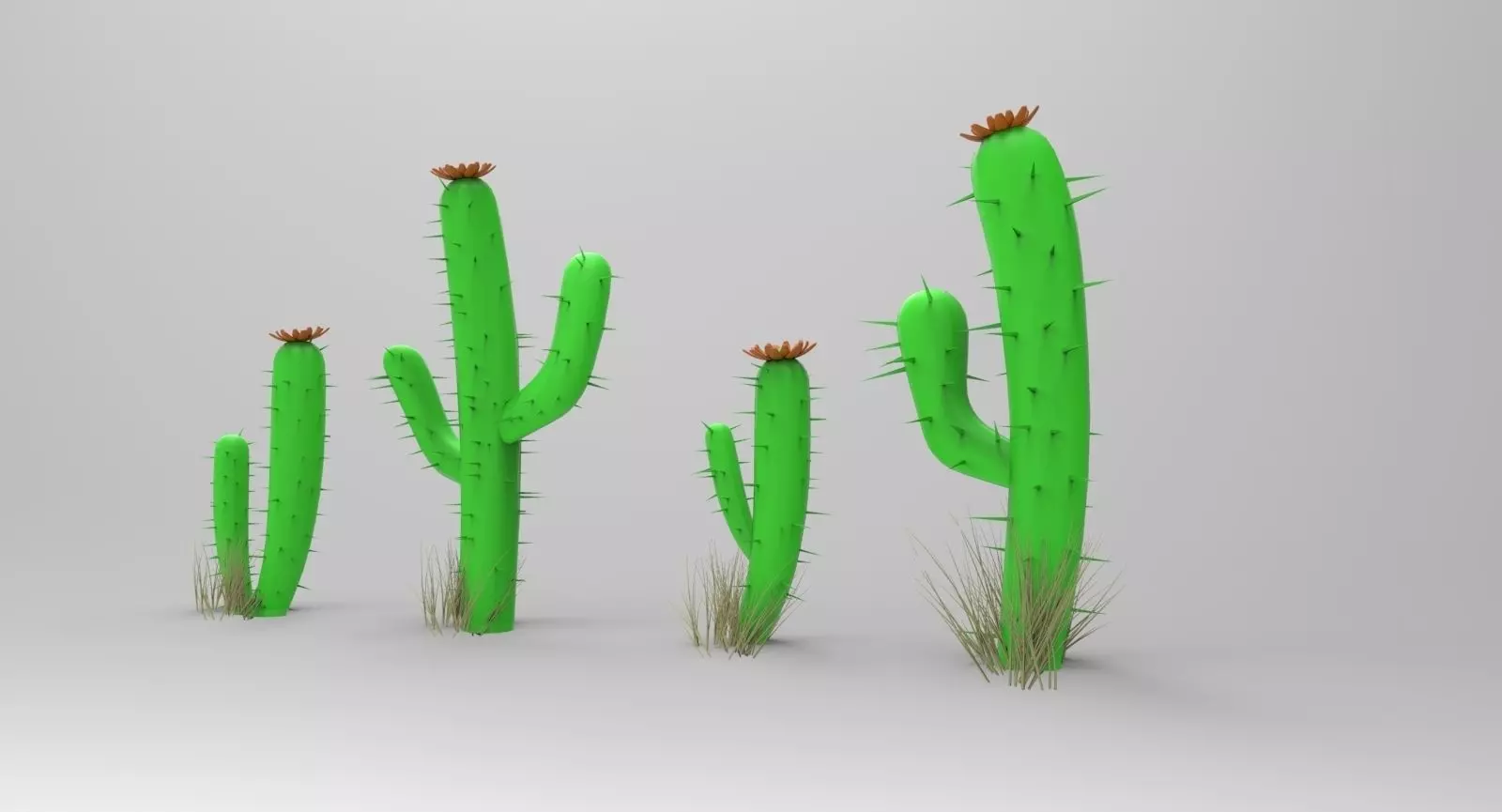 Toon Cactus 3D model_0