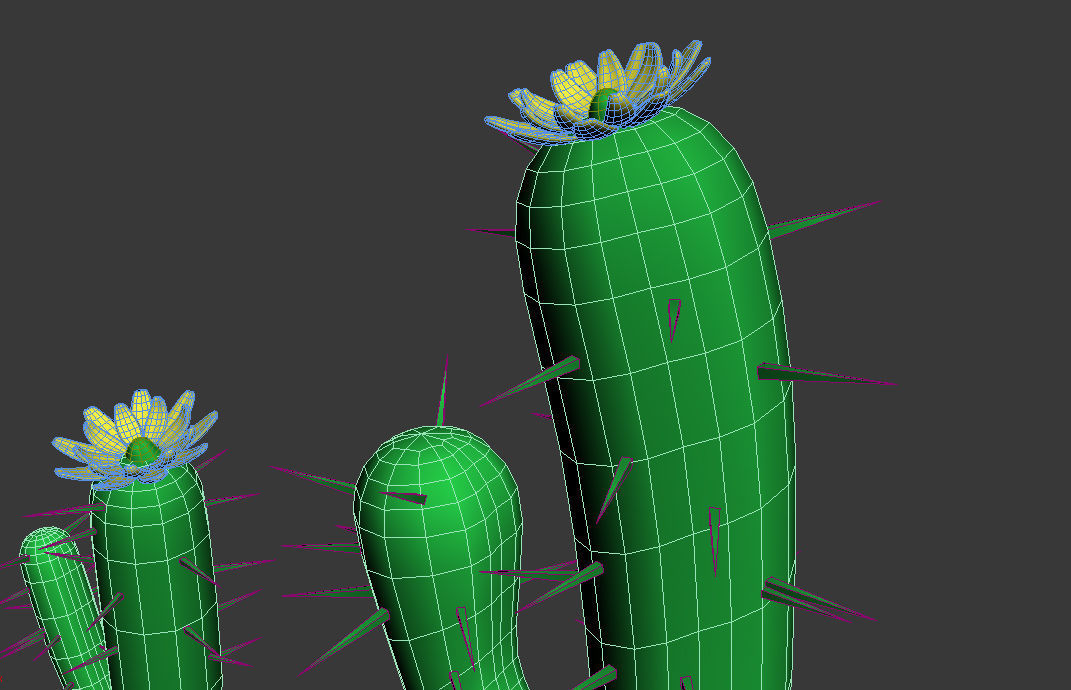 Toon Cactus 3D model_4