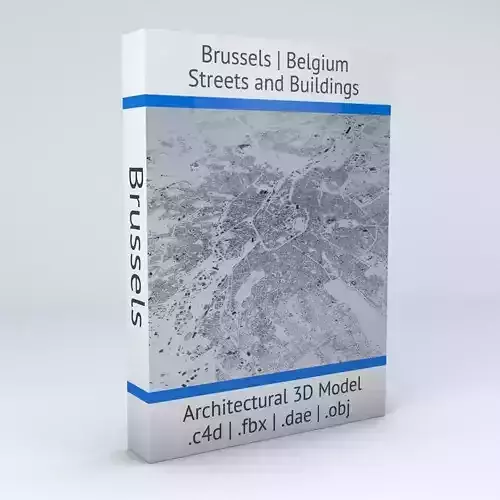 Brussels Streets and Buildings