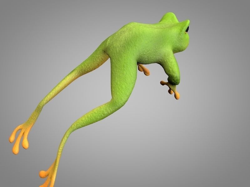Frog or toad Low-poly 3D model_2