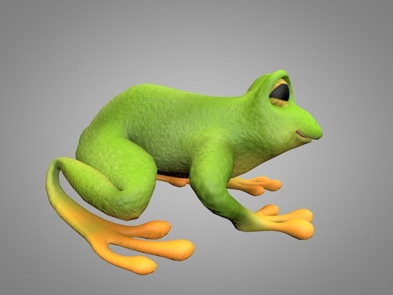 Frog or toad Low-poly 3D model_3