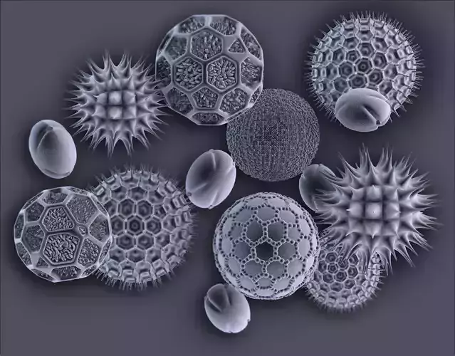 Pollens ball with spikes 3D model
