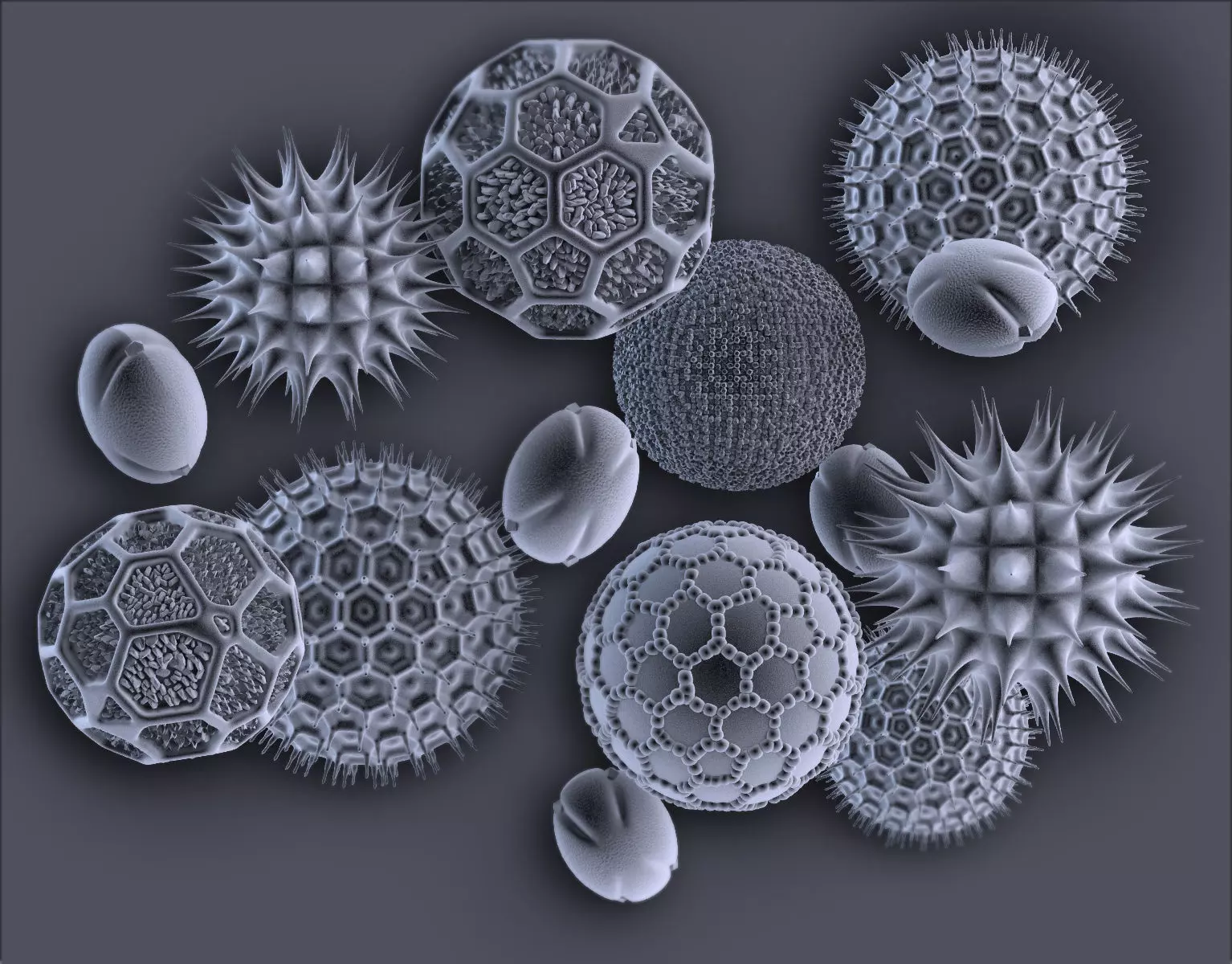 Pollens ball with spikes 3D model_0