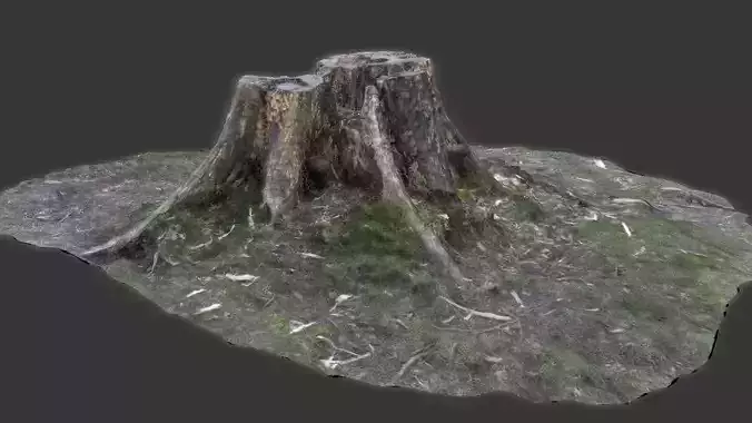 Scanned Tree Stump - Zbrush File and OBJ with Textures 3D model