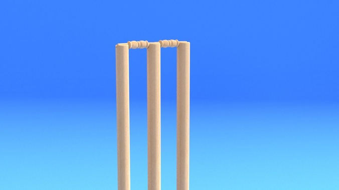 CRICKET STUMPS 3D model