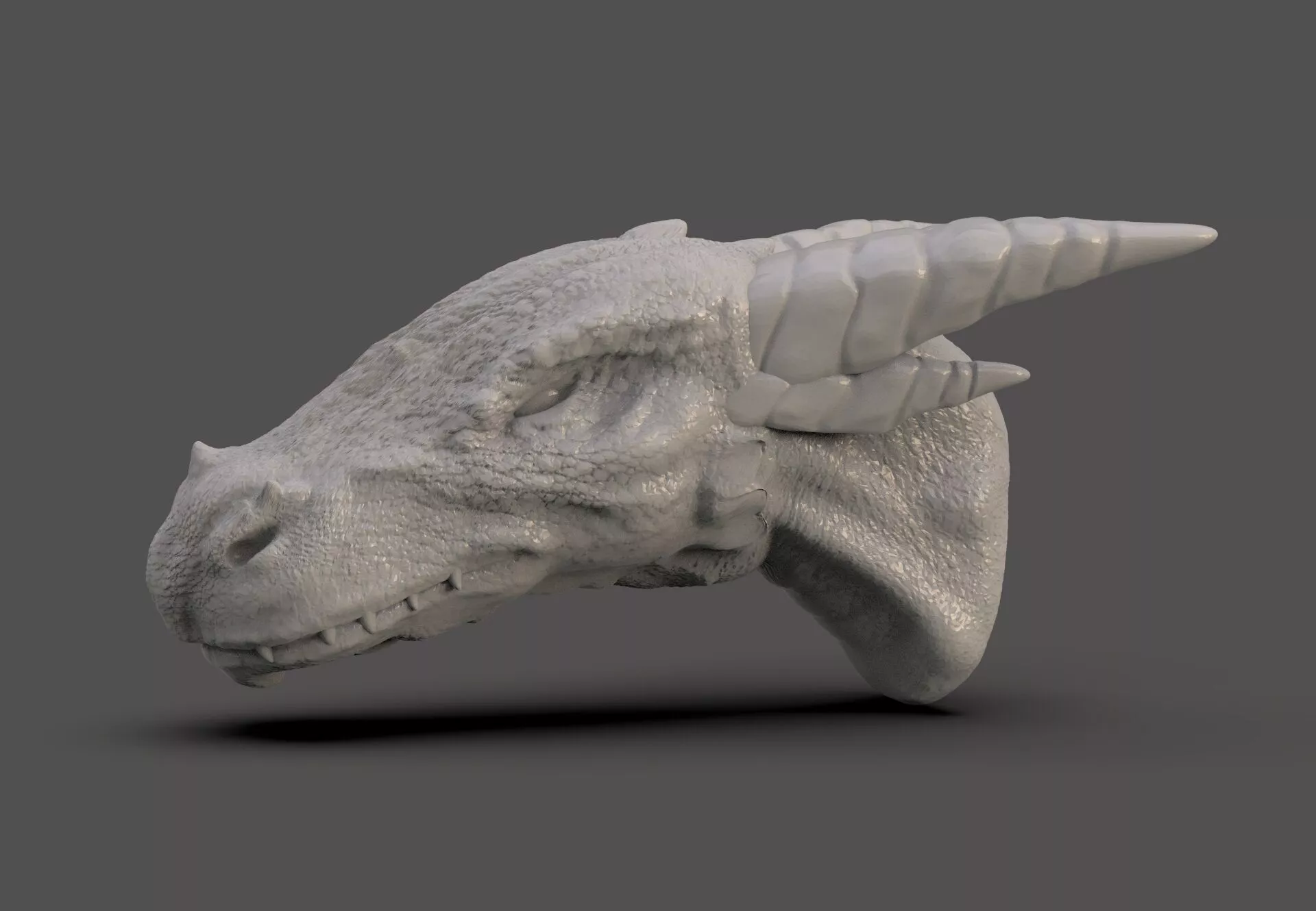 Dragon Head 3D print model