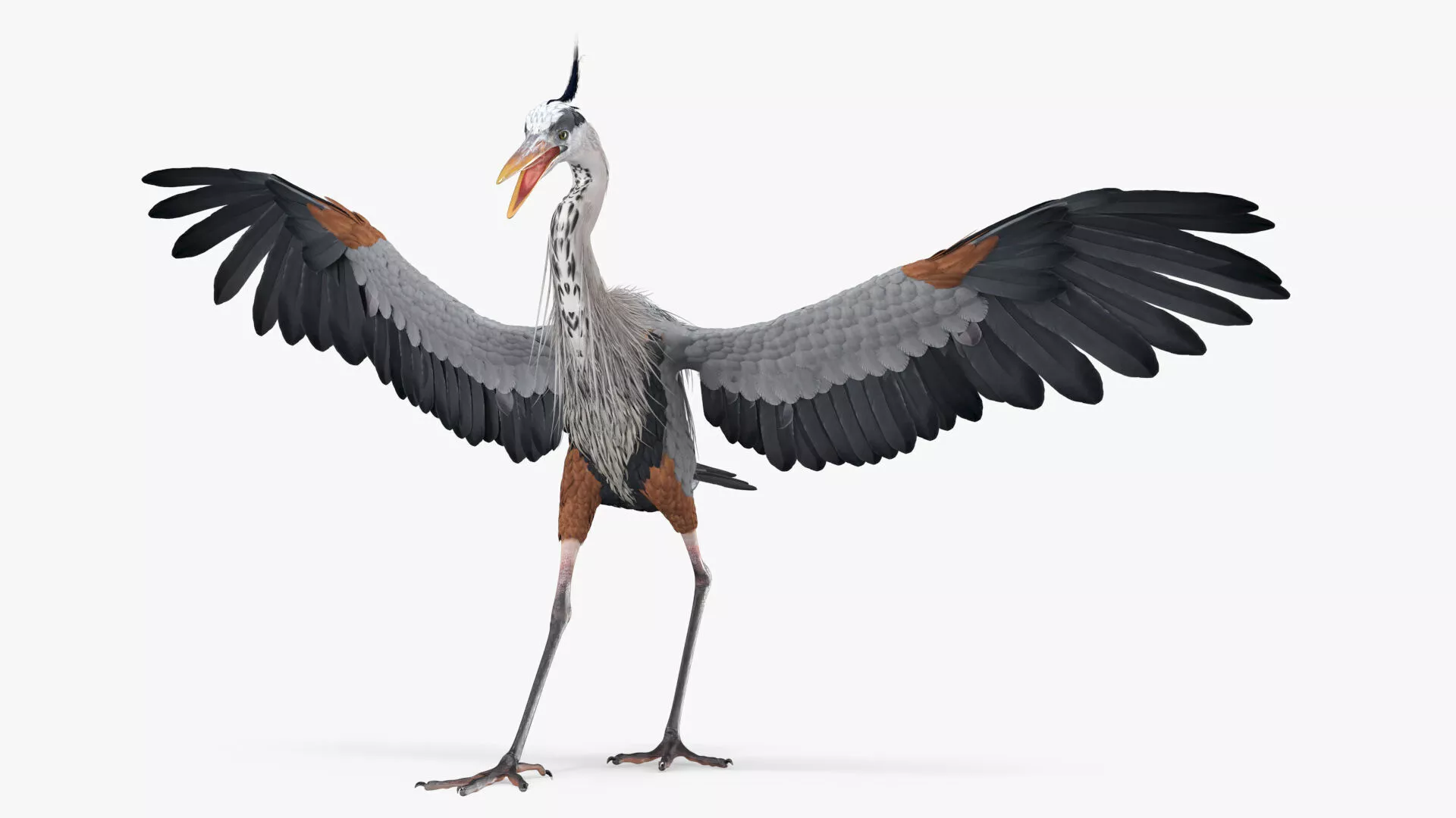 Avian Great Blue Heron Animated Rigged 3D model