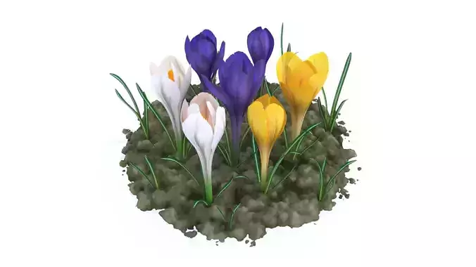 Crocus crocuses in ground Low-poly 3D model