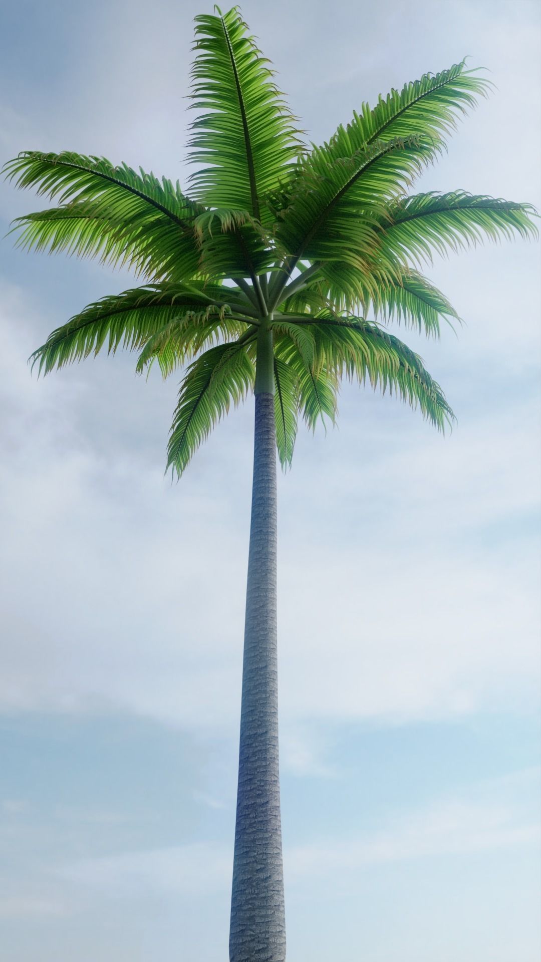 Palm Trees 3D model_0