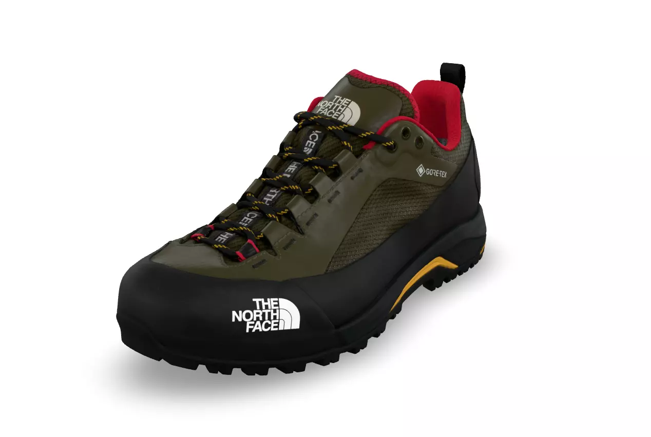 The North Face VERTO ALPINE GORE TEX Hiking shoes Low-poly 3D model