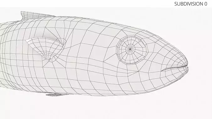 Mackerel Fish 3D model 7