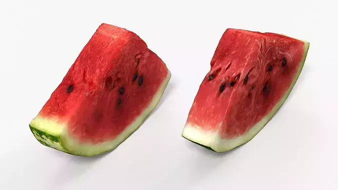 Fresh Cut Watermelon Wedge with Rind 3D model 4