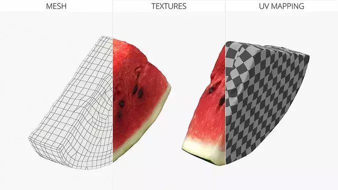 Fresh Cut Watermelon Wedge with Rind 3D model 7