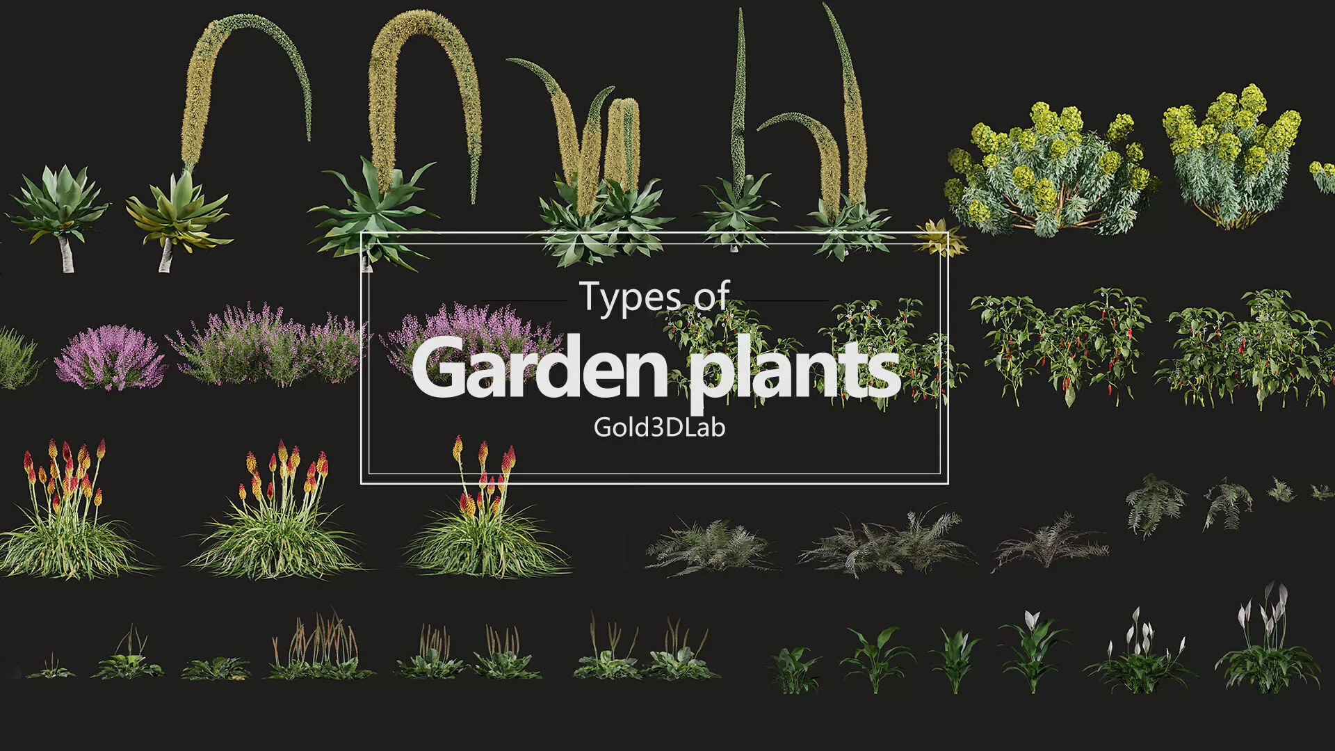 Garden plants Collection 3D model