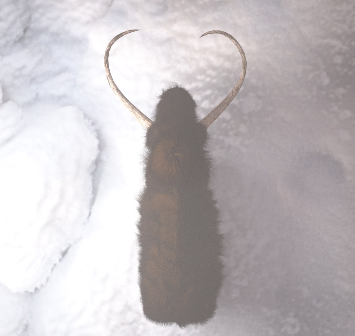 Mammoth woolly with long tusks 3D model_8