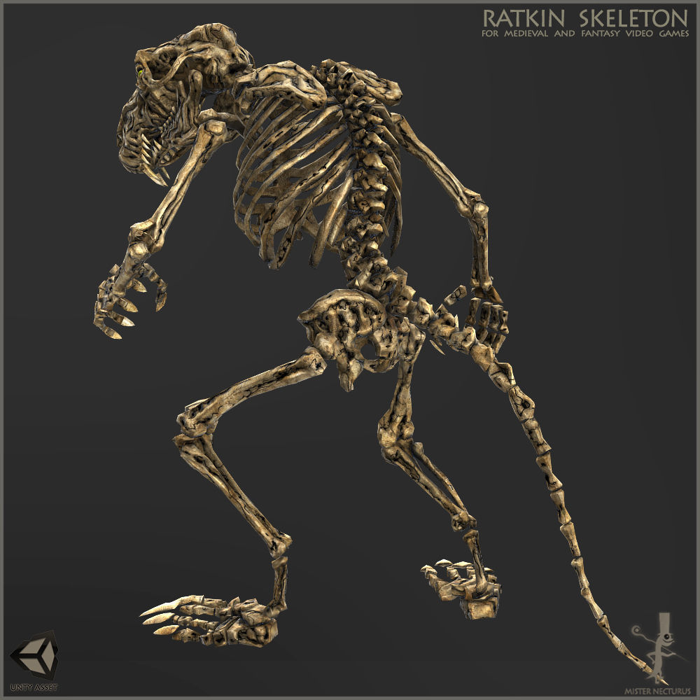 Ratkin Skeleton Low-poly 3D model_2