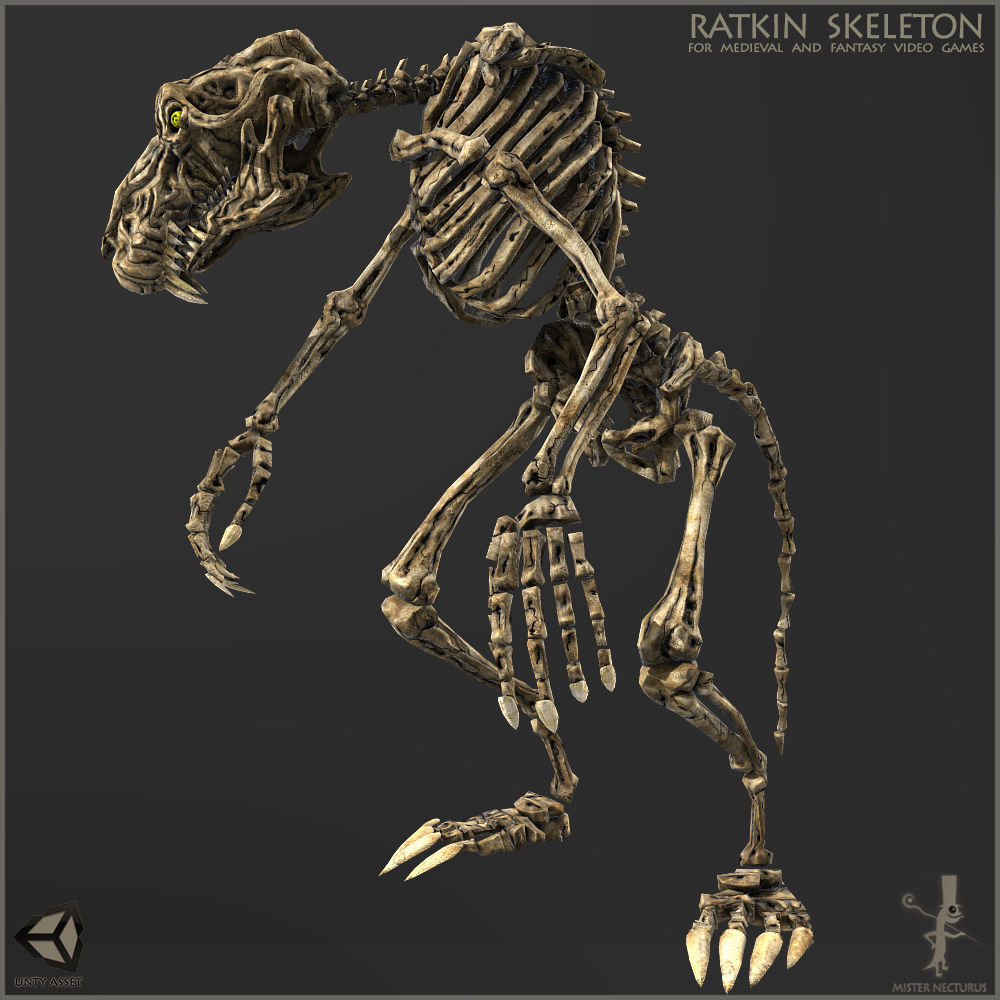 Ratkin Skeleton Low-poly 3D model_5