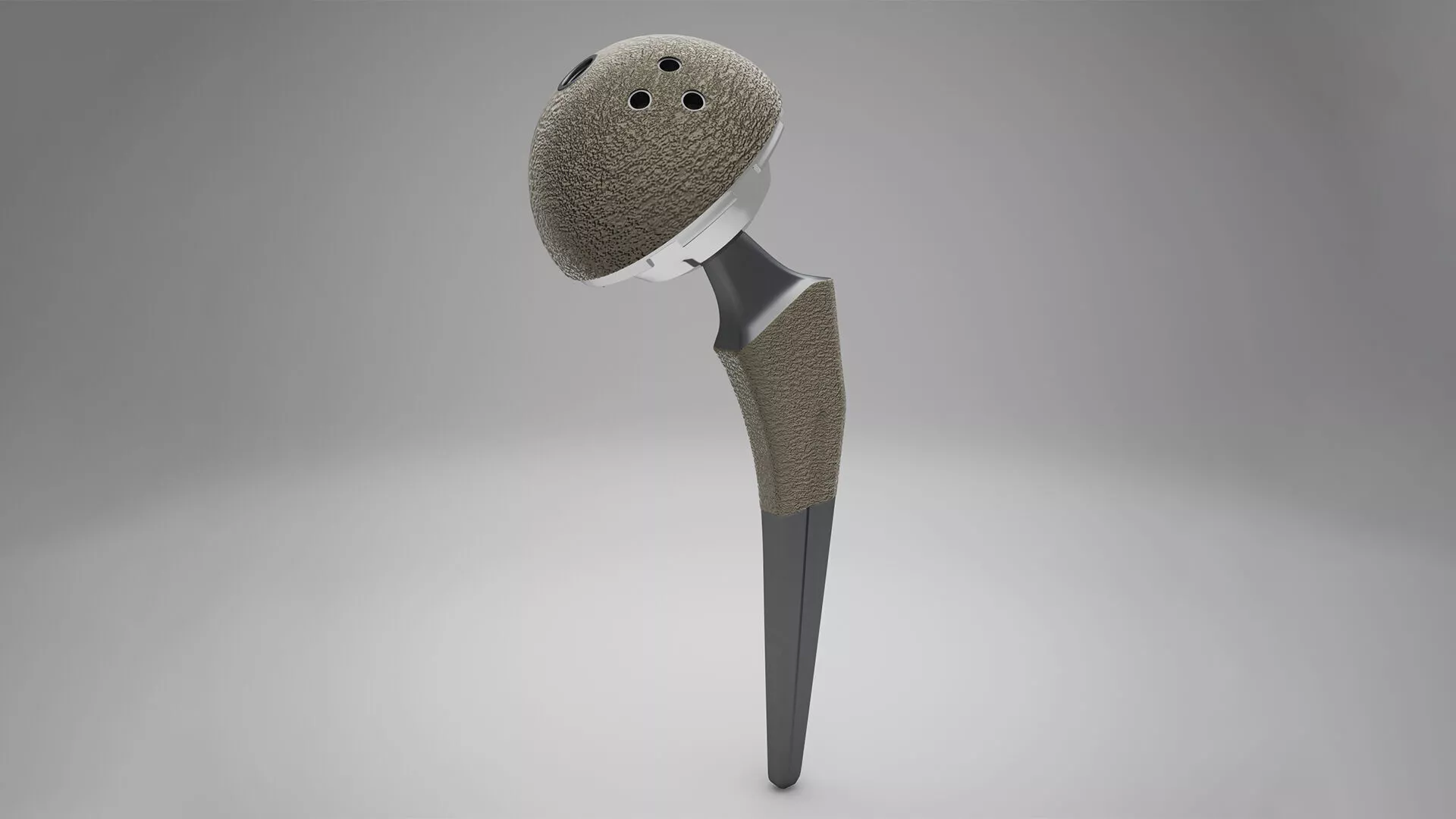 Femoral Prosthesis 3D model