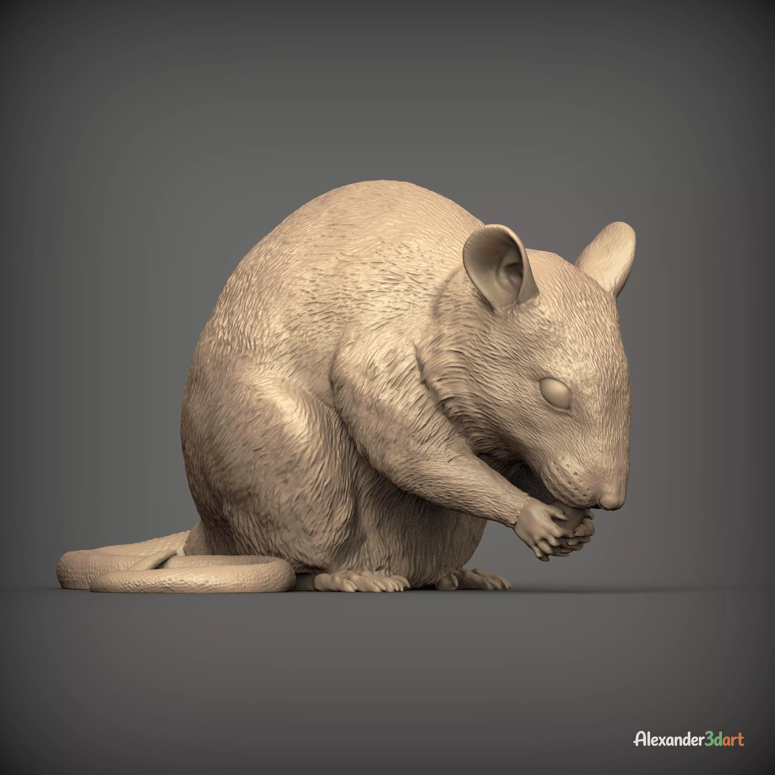 Realistic Rat Eating STL for 3D Printing 3D print model
