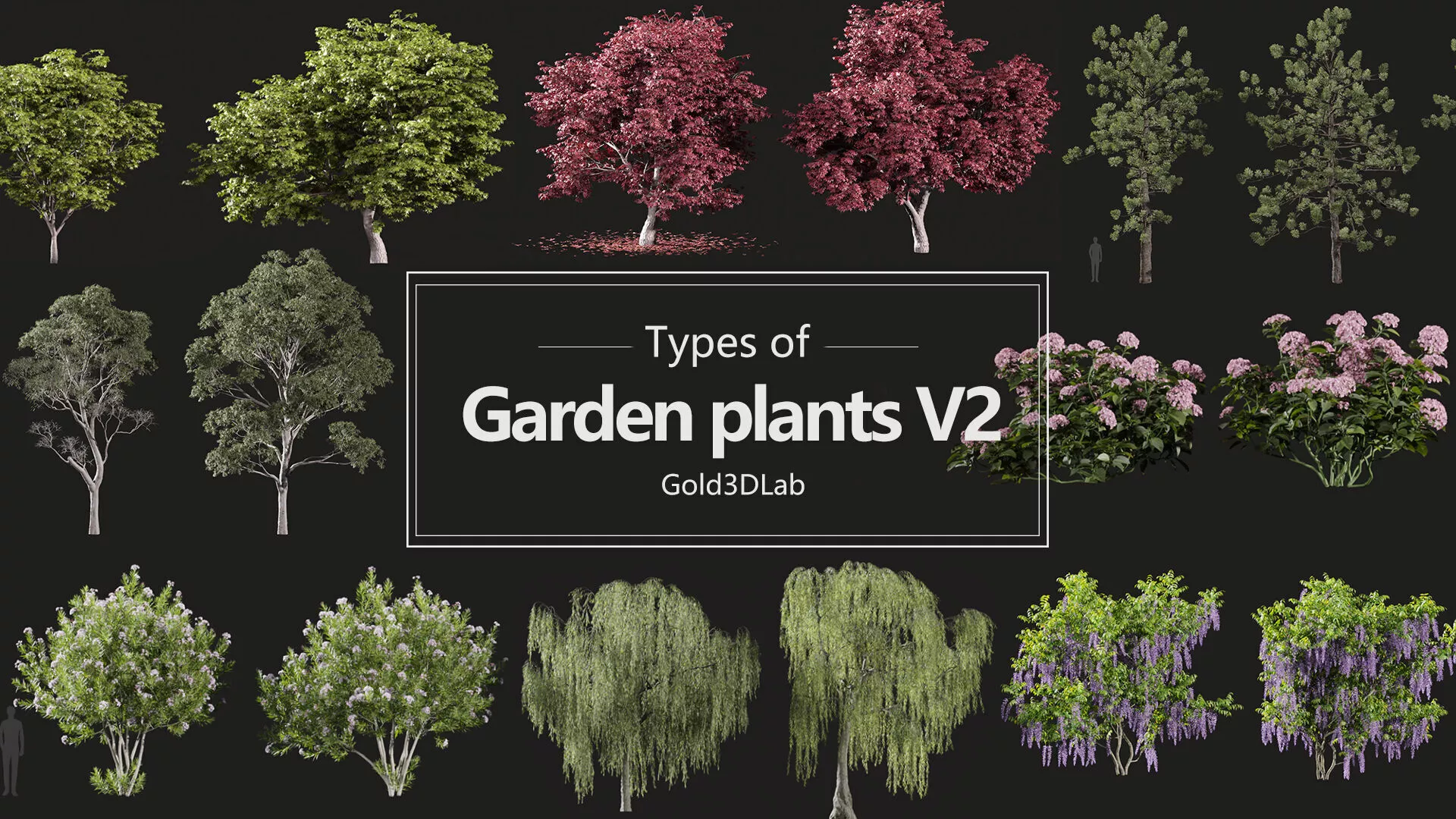 Garden trees Collection 02 3D model